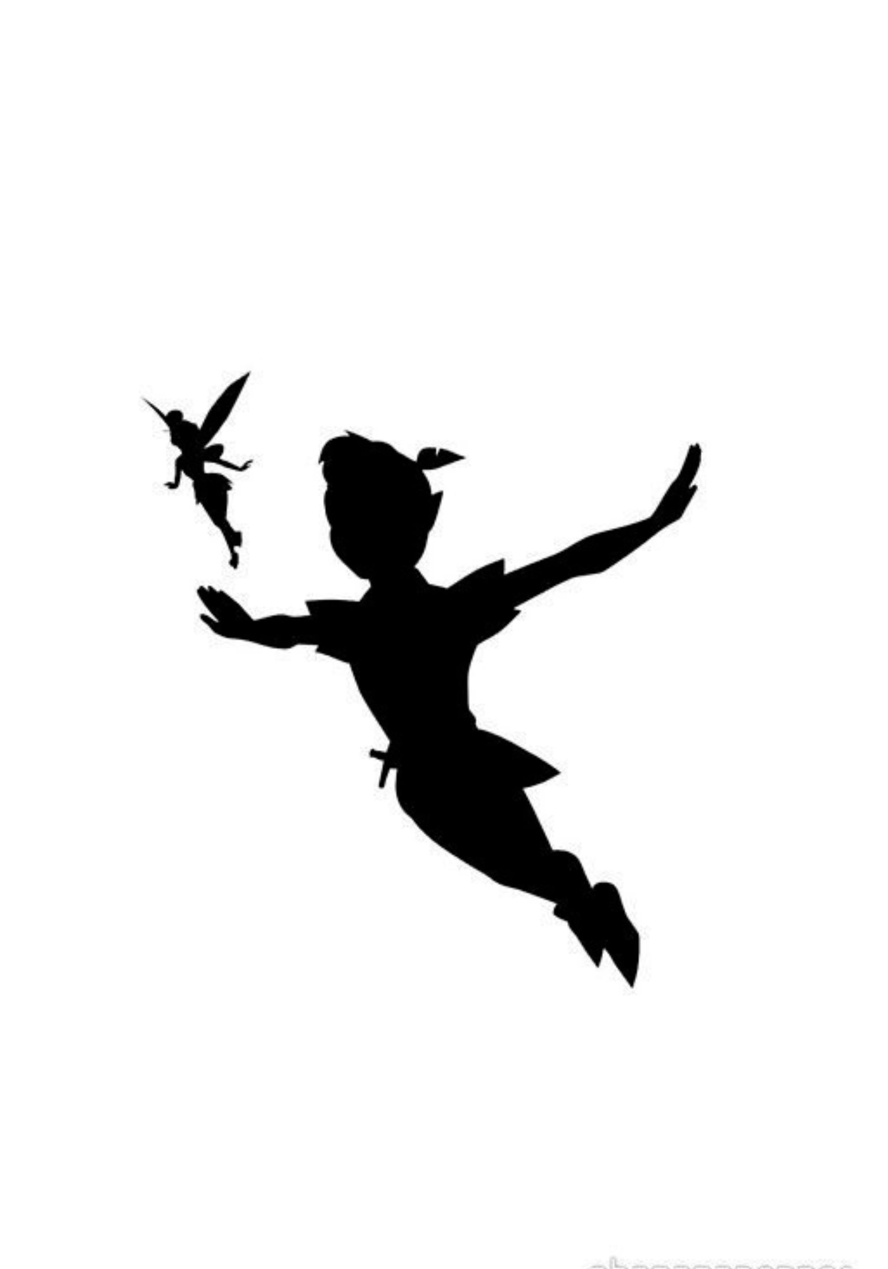 CHI C’E’ NELL’ISOLA CHE NON C’E’ PETER PAN